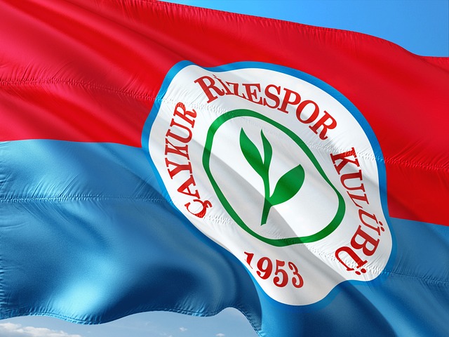 火如荼进行 火如荼进行