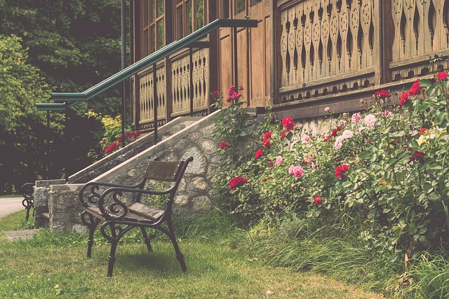 教训或许会 教训或许会