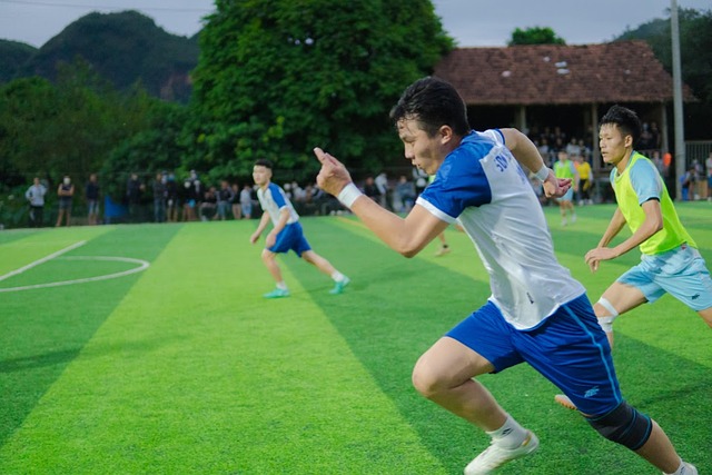 的球技與場 的球技與場