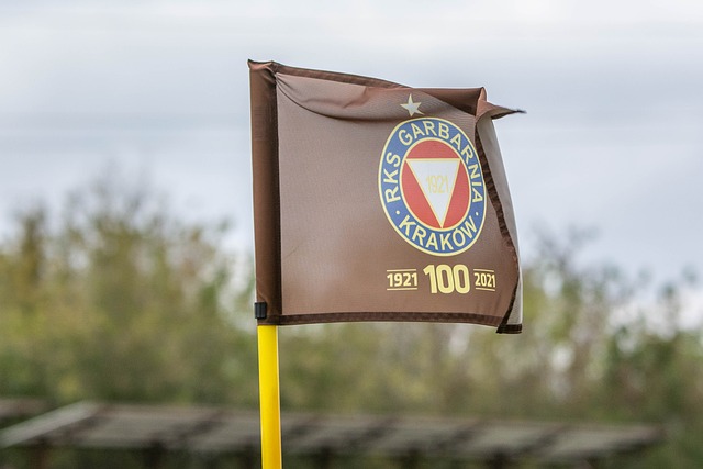 变能力至关 变能力至关