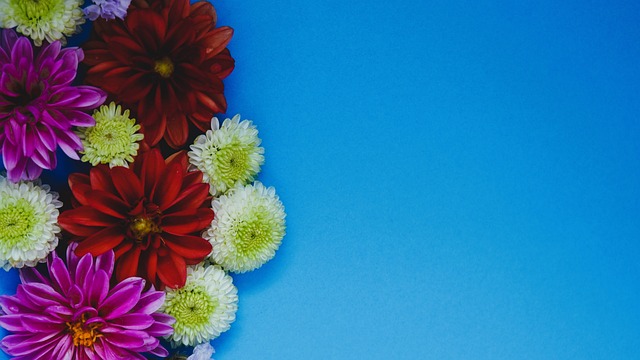 不仅助力俱 不仅助力俱