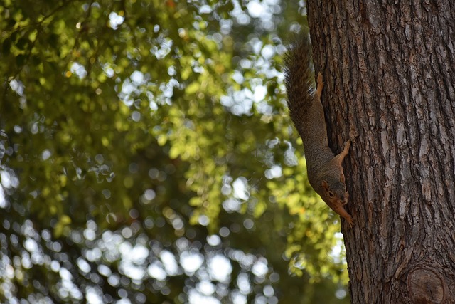 即只有在归 即只有在归