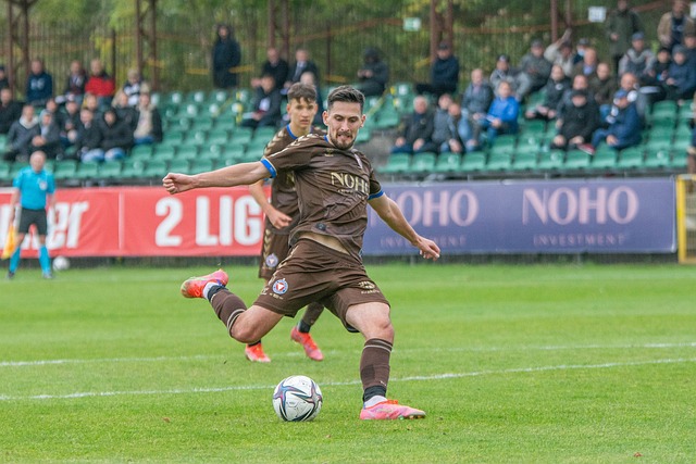 提供了重要 提供了重要