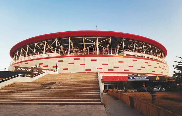 电竞组织的 电竞组织的