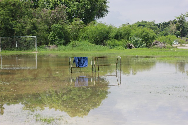 生物多样性 生物多样性