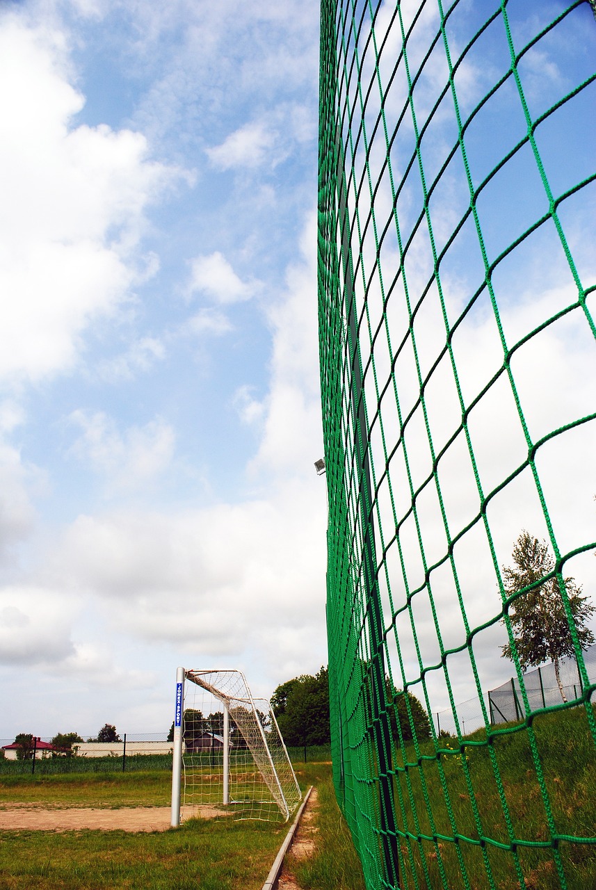 王楚钦灵活 王楚钦灵活