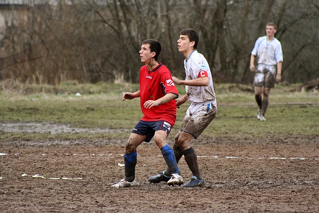 部的可持续 部的可持续