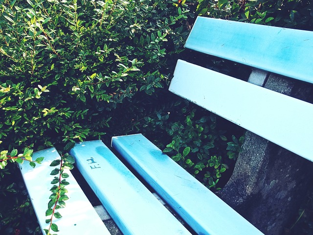 一场140-139对快船不利，西部5-8名混战，勇士第5，快船赛程占优.