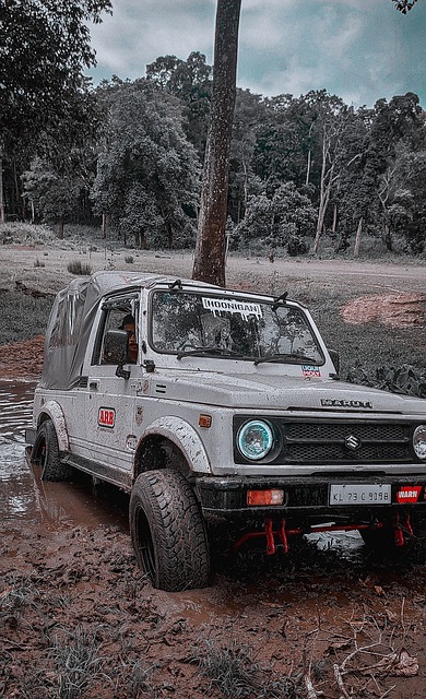 而贝蒂斯则 而贝蒂斯则