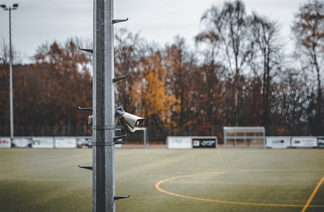 而卢顿此次 而卢顿此次